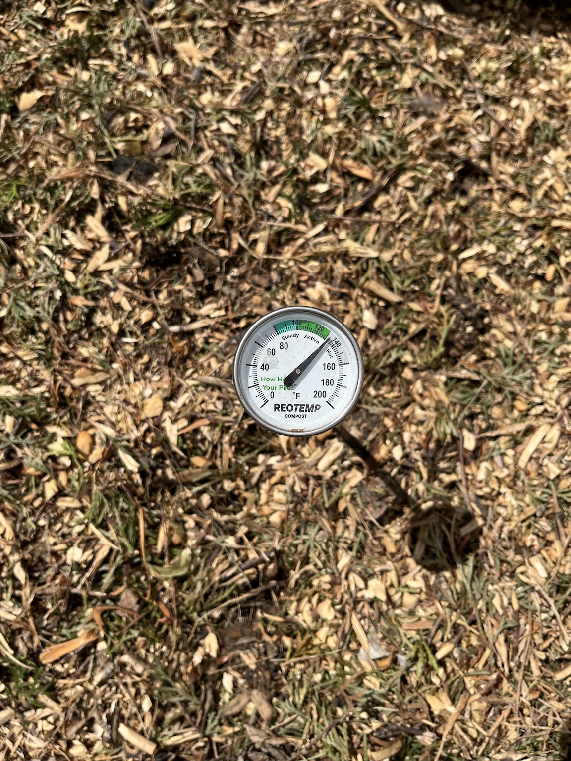 compost-temp