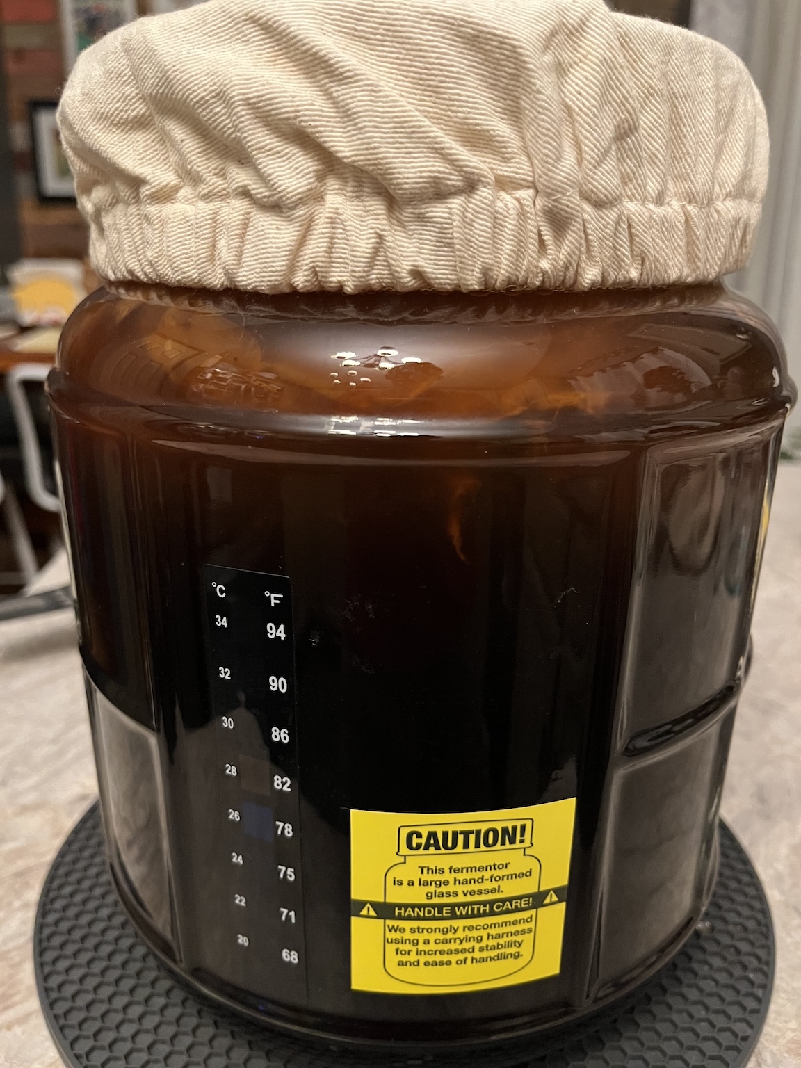 kombucha-f1-started