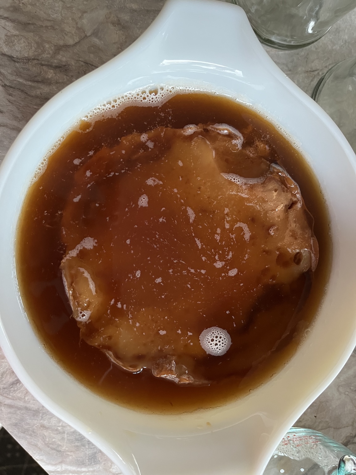 kombucha-scoby-with-starter